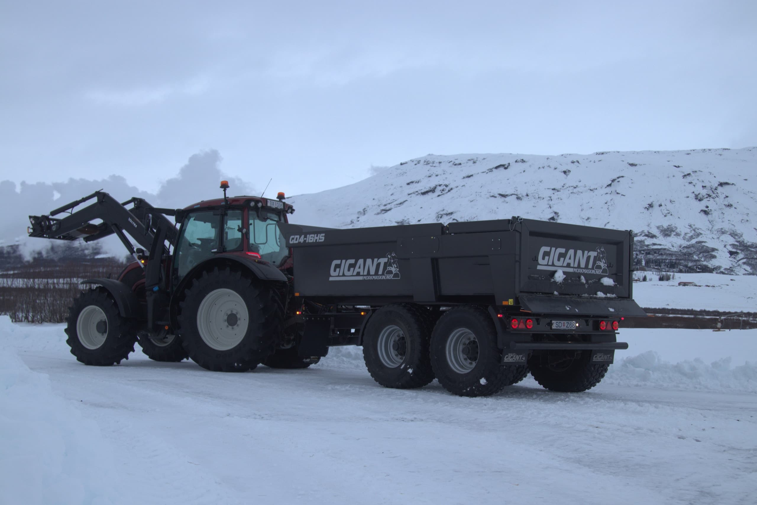 Gigant